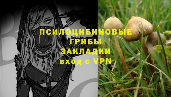 соль ск Михайловка