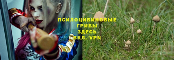 мет Мегион