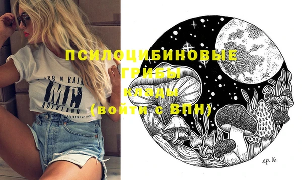 а пвп мука Медвежьегорск