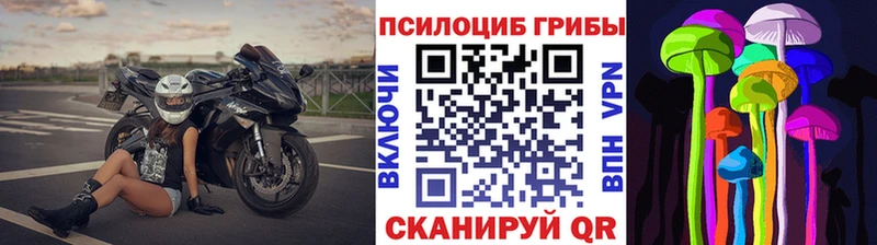 Псилоцибиновые грибы ЛСД  Щучье 