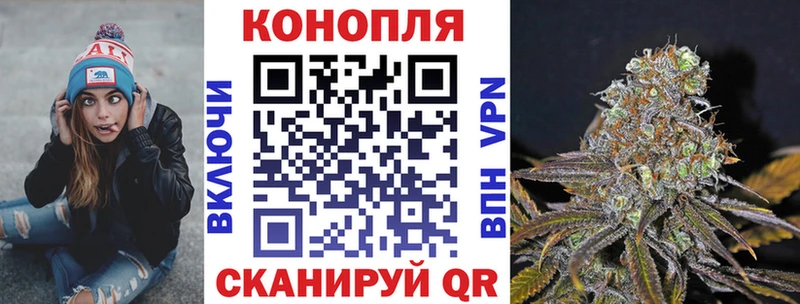 Марихуана White Widow  как найти закладки  Щучье 